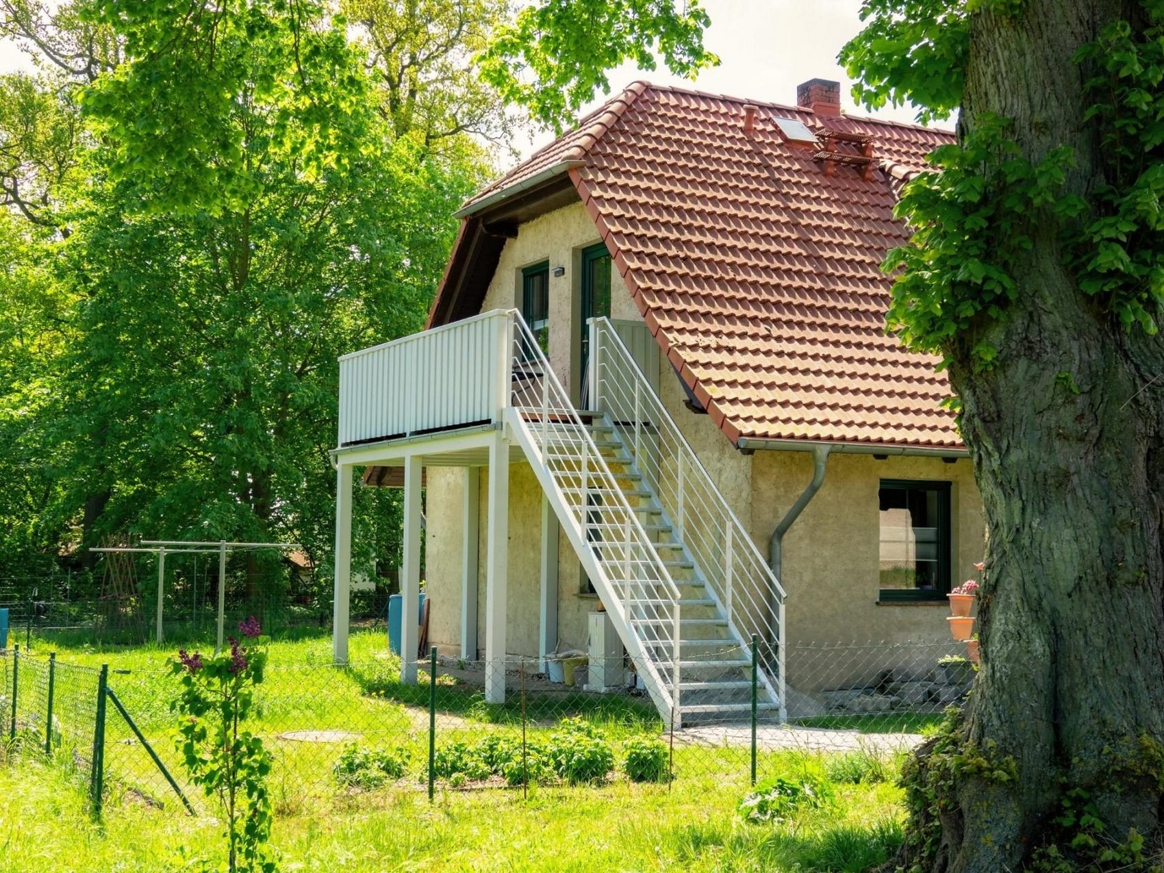 foto11