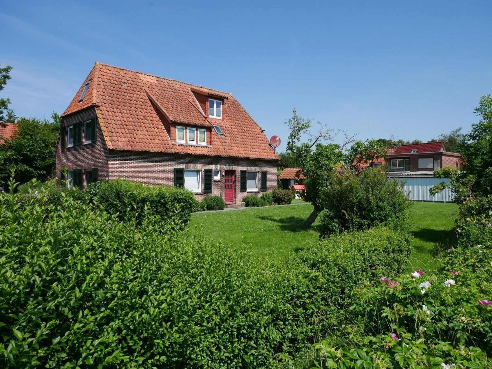 foto15