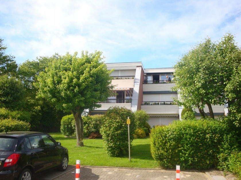 foto11