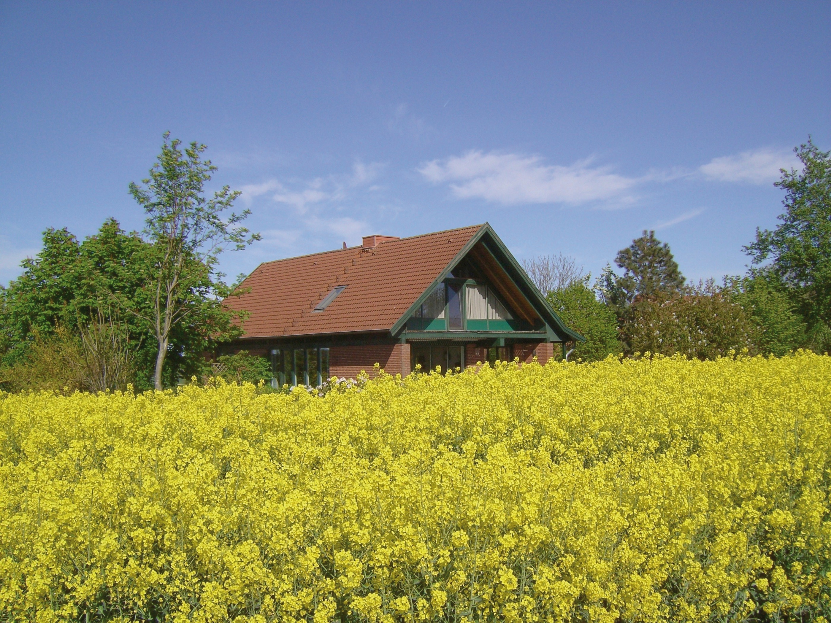 Landhaus mit Weitblick Ferienwohnung in Schleswig Holstein
