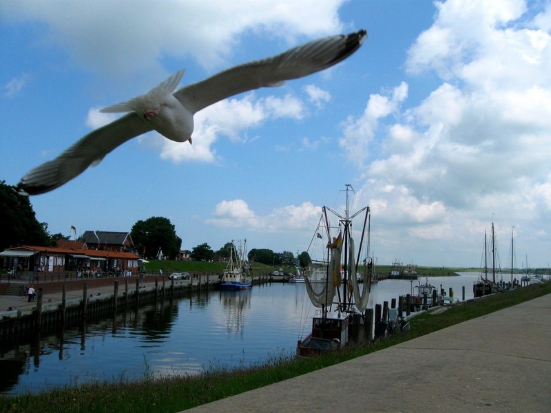 Foto 18 Ferienwohnung Ostfriesland Friesland Goldene-Linie 4 Deichblick (Objekt 567) Nordsee