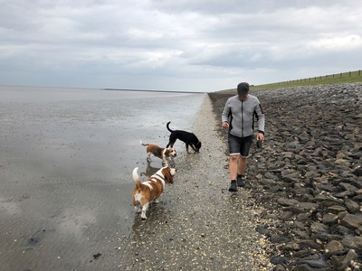 Foto 30 Ferienhaus Ostfriesland Butjadingen Wattwurm (Objekt 4274) Reise