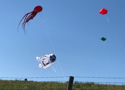 Foto 23 Ferienhaus Ostfriesland Butjadingen Wattwurm (Objekt 4274) Nordsee