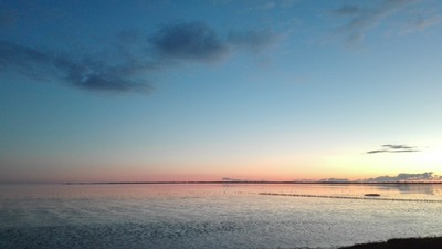 Foto 23 Ferienhaus Ostfriesland Nordfriesland Birkenhof (Objekt 59764) Nordsee