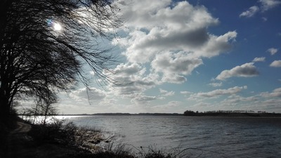 Foto 25 Ferienhaus Ostfriesland Nordfriesland Birkenhof (Objekt 59764) Reise