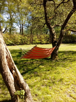 Foto 21 Ferienhaus Ostfriesland Nordfriesland Birkenhof (Objekt 59764) buchen