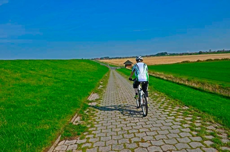 Foto 12 Ferienwohnung Ostfriesland Friesland Ferienwohnung MUSCHEL in Hooksiel (Objekt 773) suchen