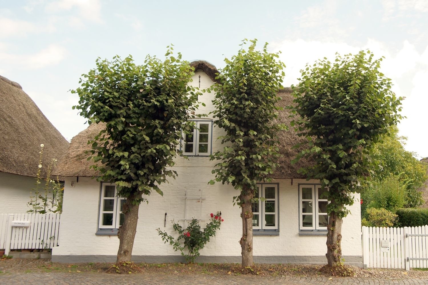 Witje Hüs Ferienhaus  Föhr