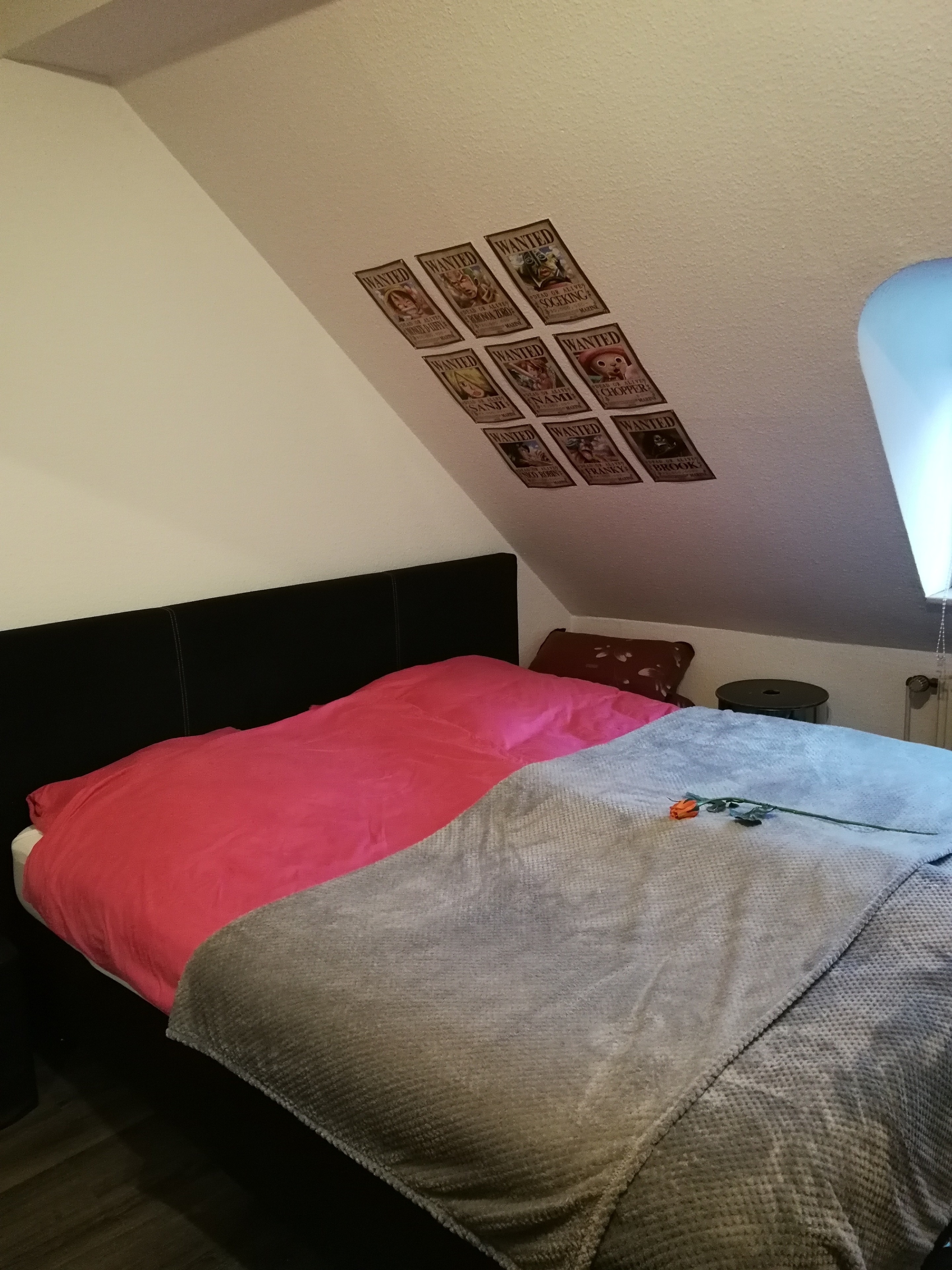 Single wohnung st.wendel