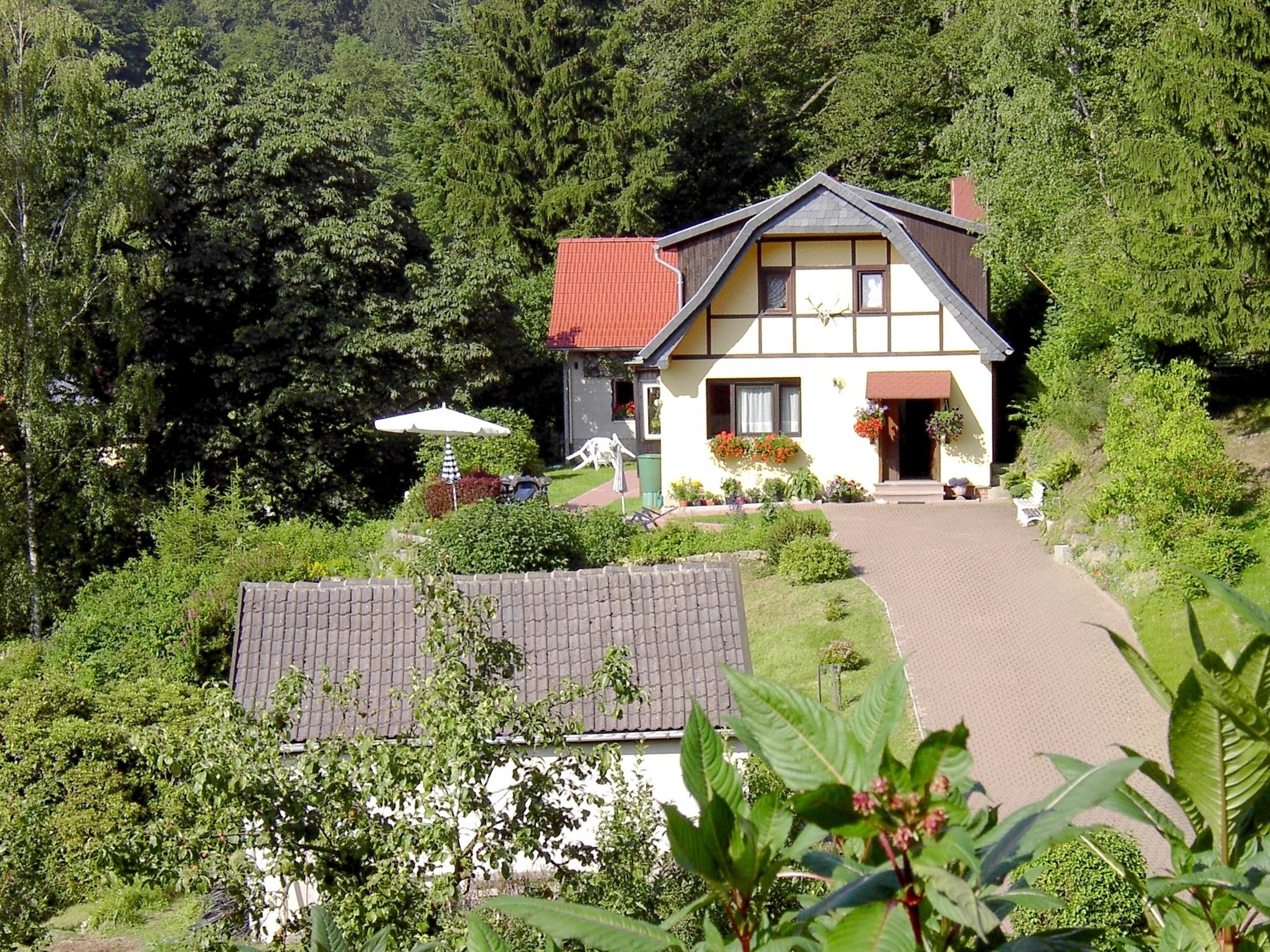 Birkenhain Ferienhaus im Harz