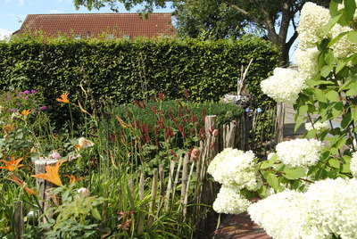 Foto 21 Ferienwohnung Ostfriesland Norddeich & Umgebung Ferienwohnung Seeschwalbe (Objekt 36413) buchen