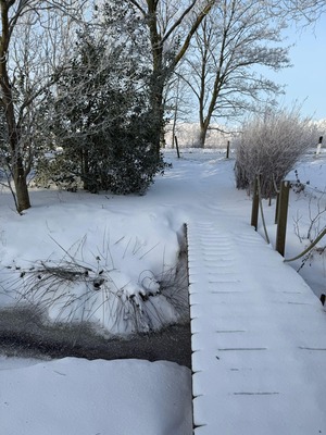 Foto 23 Ferienhaus Ostfriesland Rheiderland Lüttje Glück 2 (Objekt 62290) Nordsee