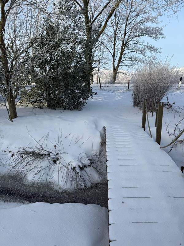 Foto 23 Ferienhaus Ostfriesland Rheiderland Lüttje Glück 2 (Objekt 62290) Nordsee