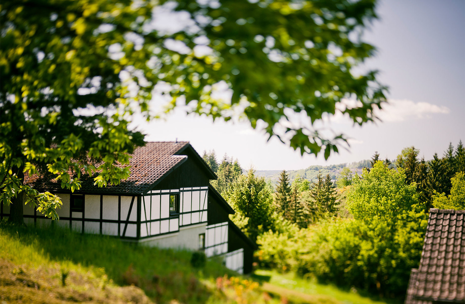 Ferienhaus "Ahorn" Ferienhaus in der Eifel