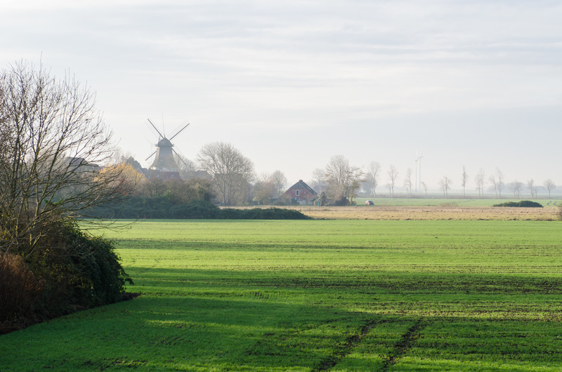 Foto 12 Ferienwohnung Ostfriesland Carolinensiel FeWo Blischke Nebenhaus (12) (Objekt 411) suchen