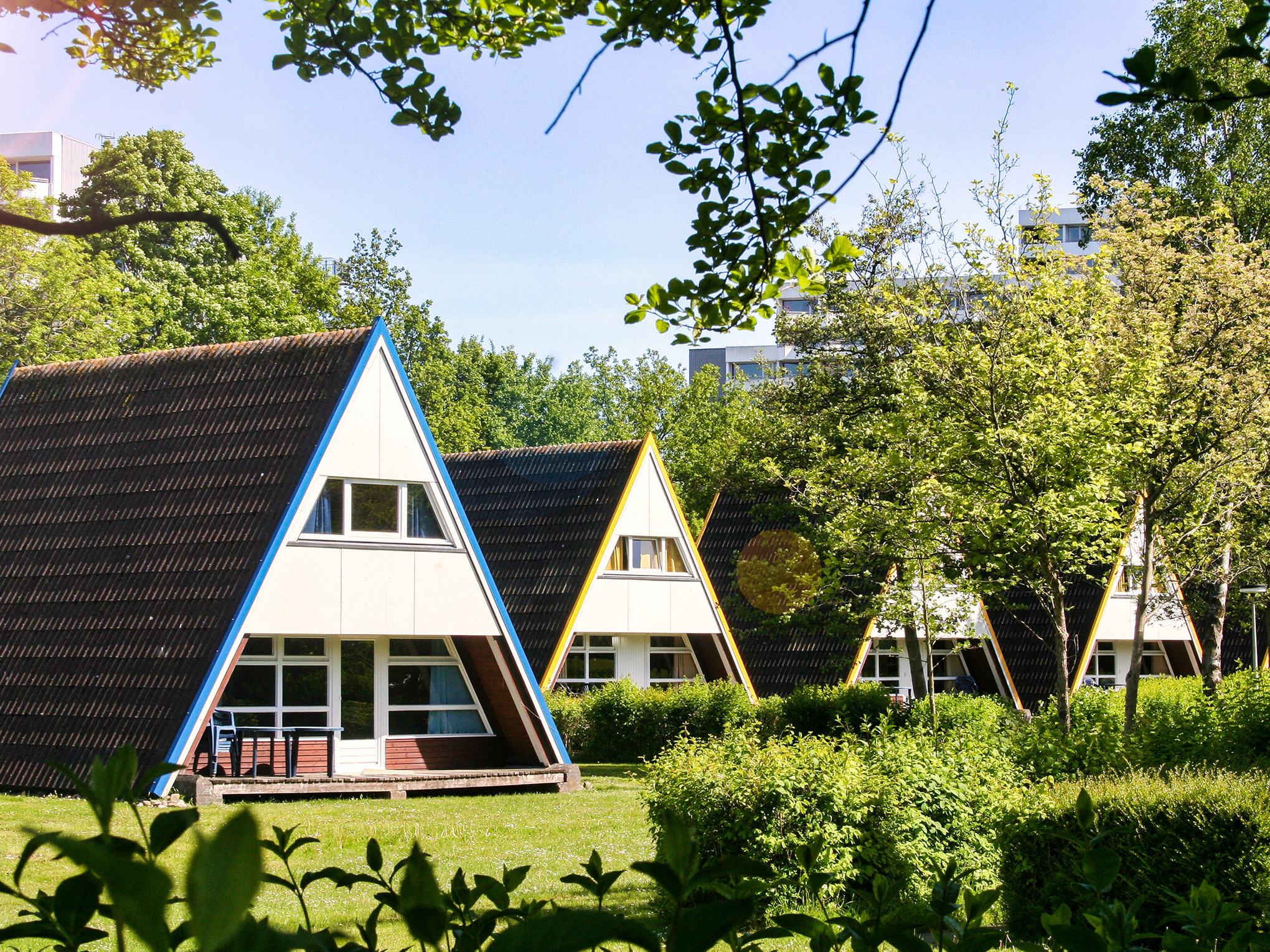 Nurdachhaus im Dampland an der Ostsee Ferienhaus 