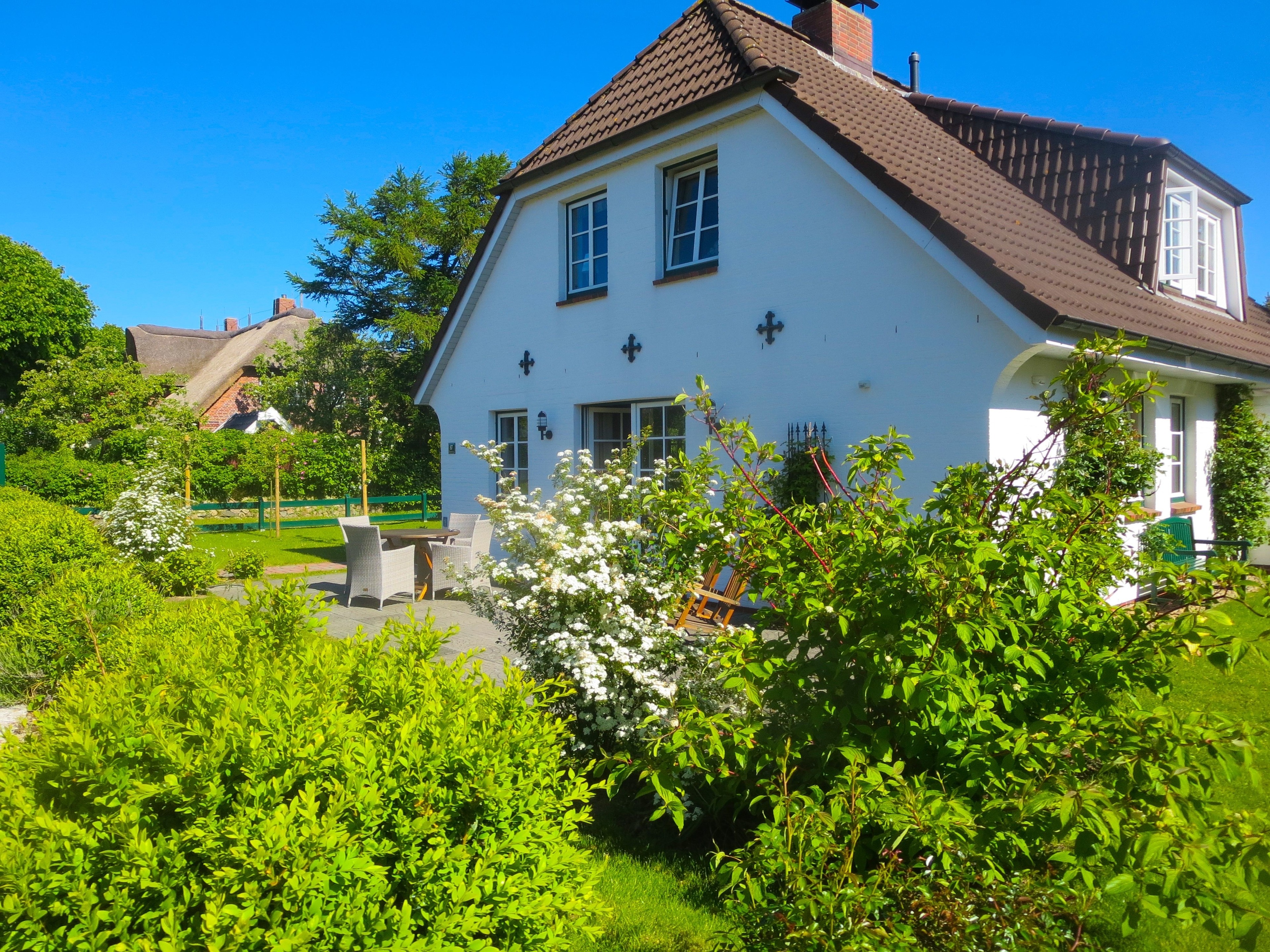 Aapelwin auf Föhr