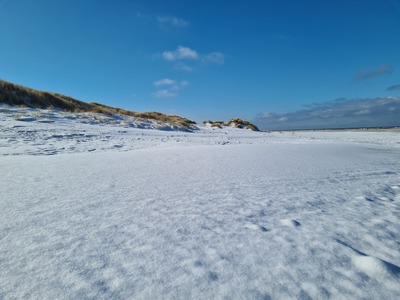 Foto 41 Ferienwohnung Ostfriesland Juist Strandburg Juist Apartment 208 - Schwimmbad und Sauna kostenfrei (Objekt 410) buchen