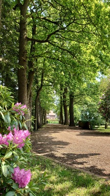 Foto 3 Ferienwohnung Ostfriesland Aurich & Umgebung De Tuun - Landhaus Lübbertsfehn (Objekt 131) Nordsee
