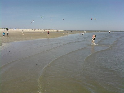 Foto 21 Ferienhaus Ostfriesland Friesland Friesisches Siedlerhaus (Objekt 85264) buchen