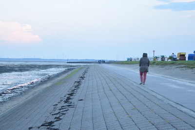 Foto 23 Ferienhaus Ostfriesland Friesland Friesisches Siedlerhaus (Objekt 85264) Nordsee