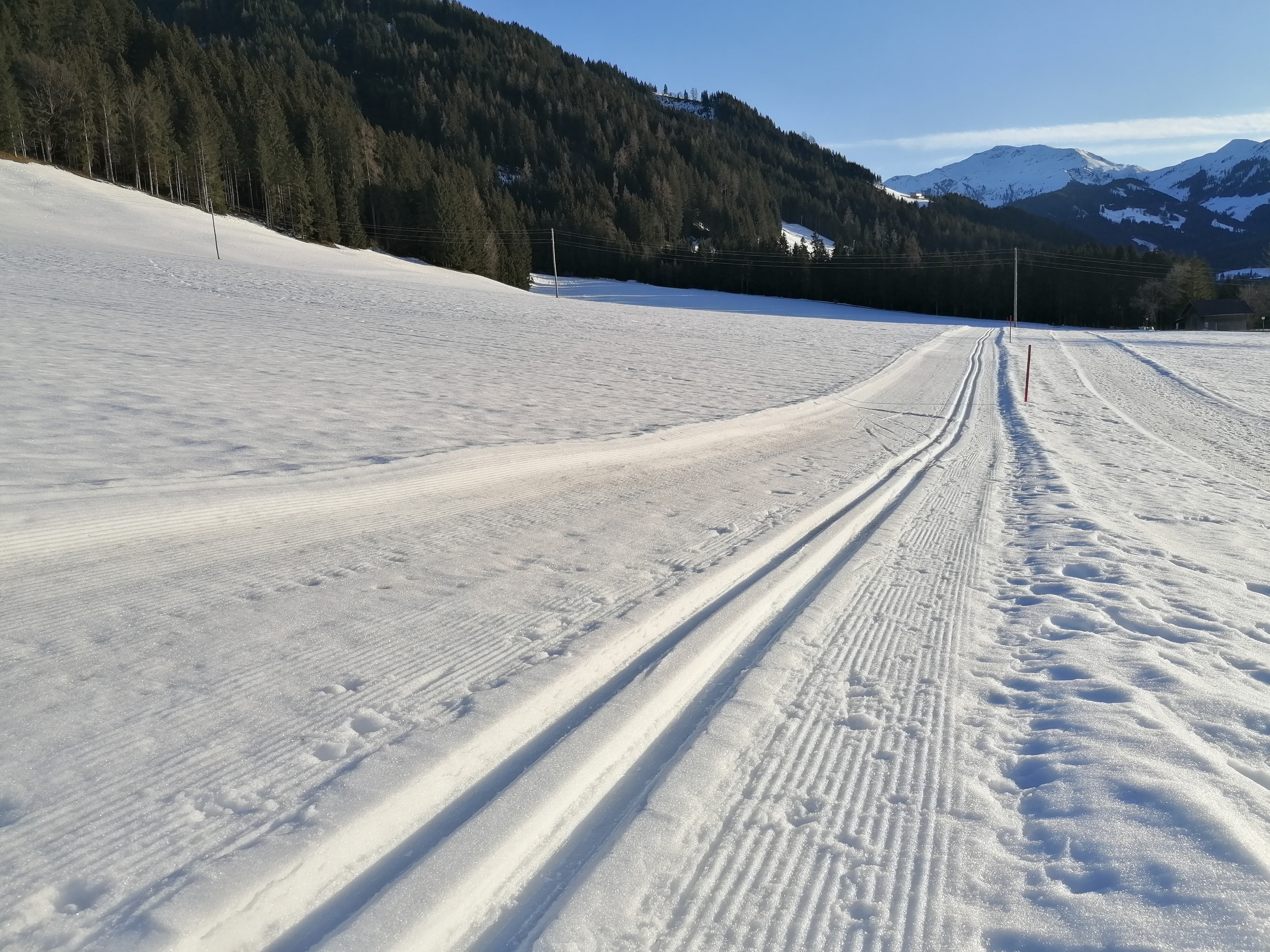 Schoners Einfanghof  by FeWo-Plan(WILD005) — Foto 14