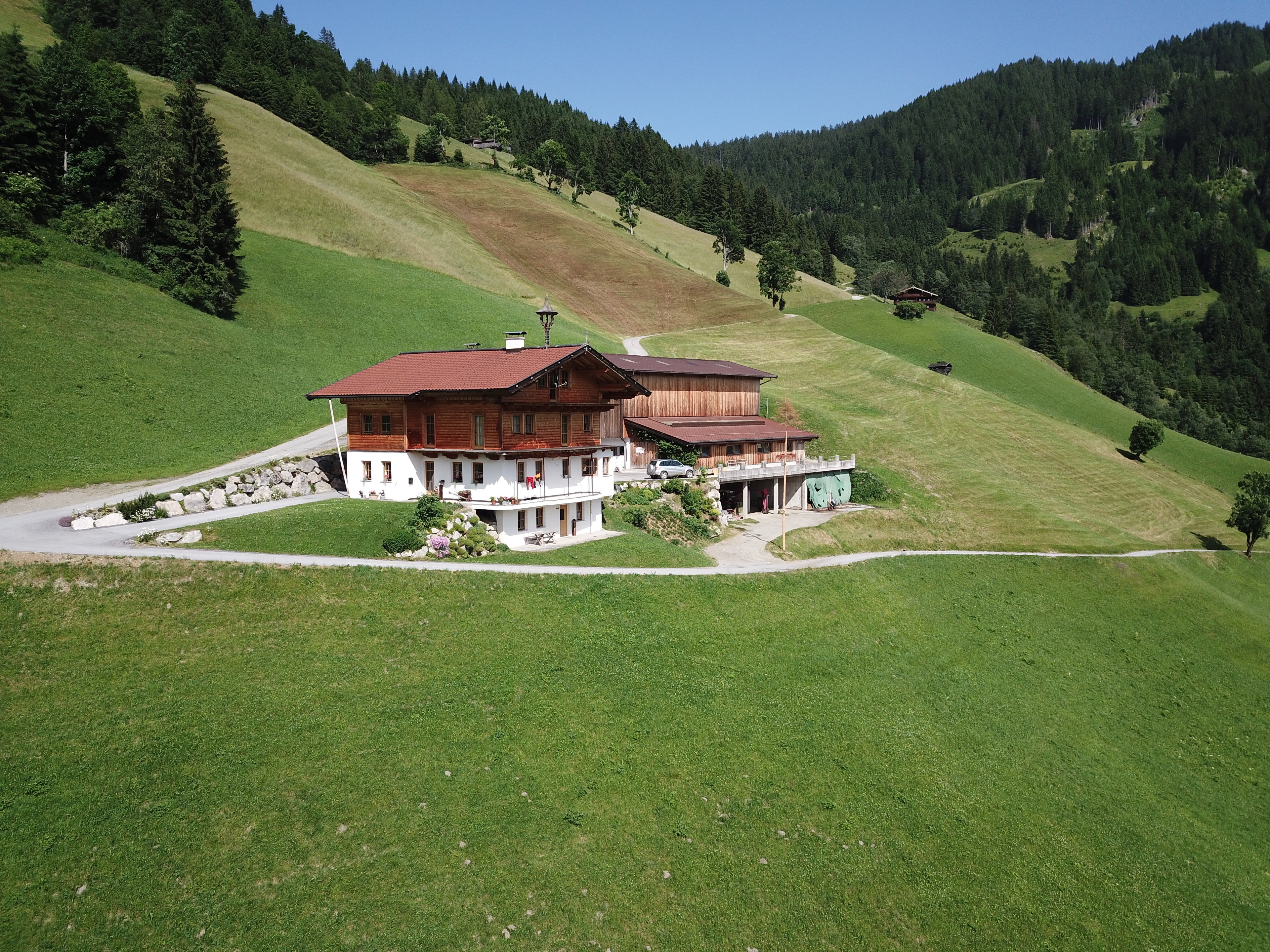 Ferienwohnung in Panorama Alleinlage Kitzbüheler Alpen(WILD63) by FeWo-Plan – Bild 5