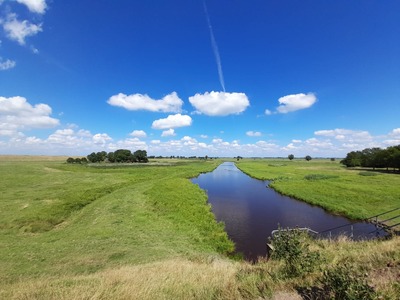 Foto 21 Ferienhaus Ostfriesland Rheiderland Ferienhaus Ditzum am Sielblick (Objekt 157) buchen