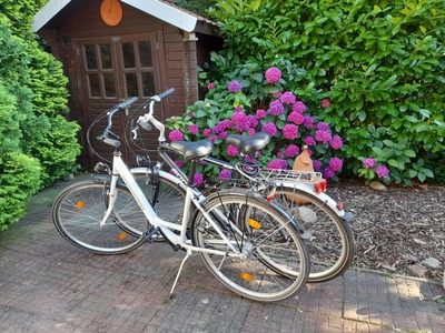 Foto 25 Ferienhaus Ostfriesland Rheiderland Ferienhaus Ditzum am Sielblick (Objekt 157) Reise