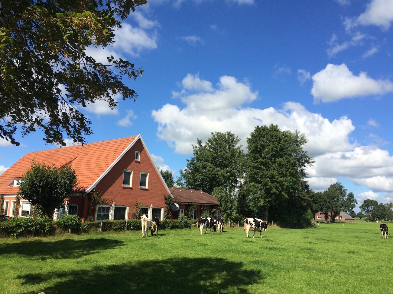 Villa für 10 Personen in Ostfriesland mit Kin Ferienhaus  Oldenburg