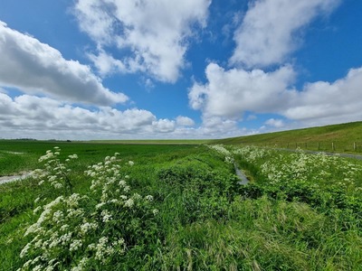 Foto 14 Ferienwohnung Ostfriesland Dornum & Umgebung Ferienwohnung Schlickwanderer Klein (Objekt 100564) Urlaub