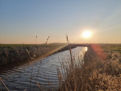 Foto 21 Ferienwohnung Ostfriesland Dornum & Umgebung Ferienwohnung Schlickwanderer Groß (Objekt 100530) buchen