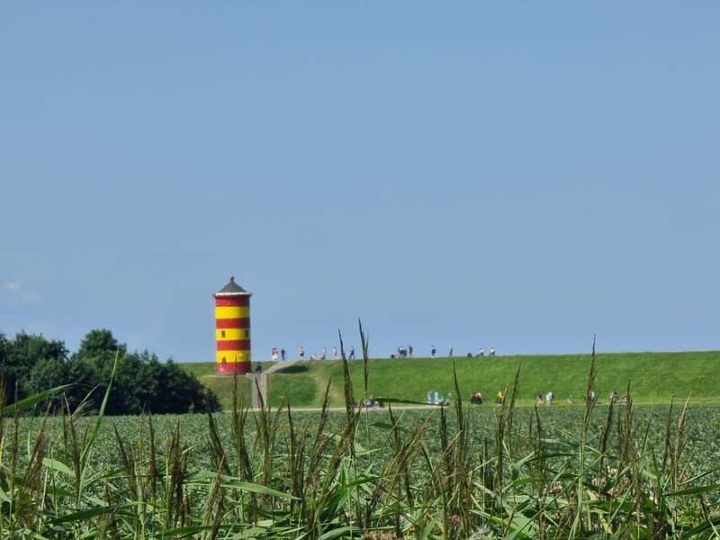 Foto 23 Ferienwohnung Ostfriesland Dornum & Umgebung Ferienwohnung Schlickwanderer Groß (Objekt 100530) Nordsee