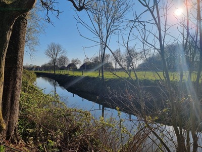 Foto 25 Ferienhaus Ostfriesland Dornum & Umgebung Ferienhaus Ankerplatz im Bootshaus (Objekt 100547) Reise