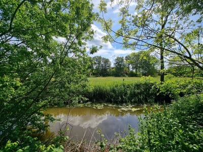 Foto 25 Ferienhaus Ostfriesland Dornum & Umgebung Ferienhaus Steuerbord im Bootshaus (Objekt 100576) Reise