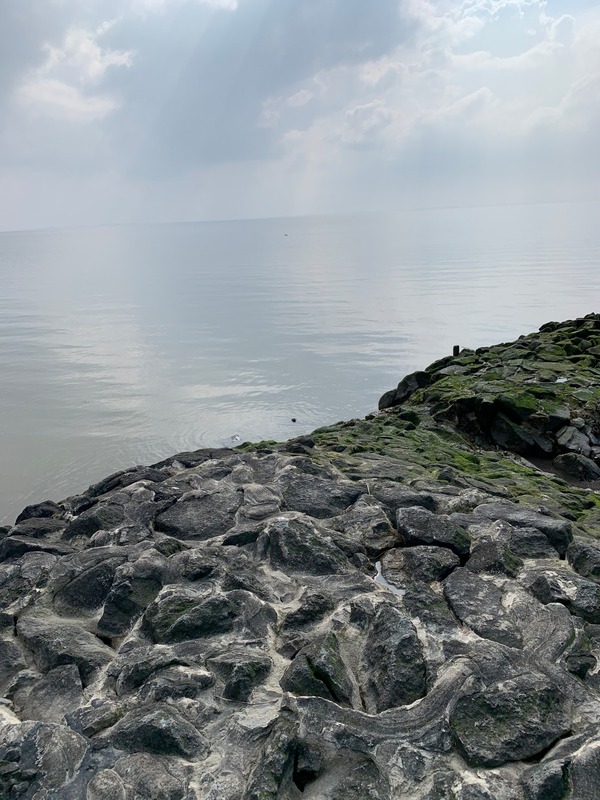 Foto 30 Ferienhaus Ostfriesland Krummhörn & Umgebung Neuhaus Deichperle (Objekt 1298) Reise