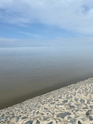 Foto 32 Ferienhaus Ostfriesland Krummhörn & Umgebung Neuhaus Deichperle (Objekt 1298) suchen