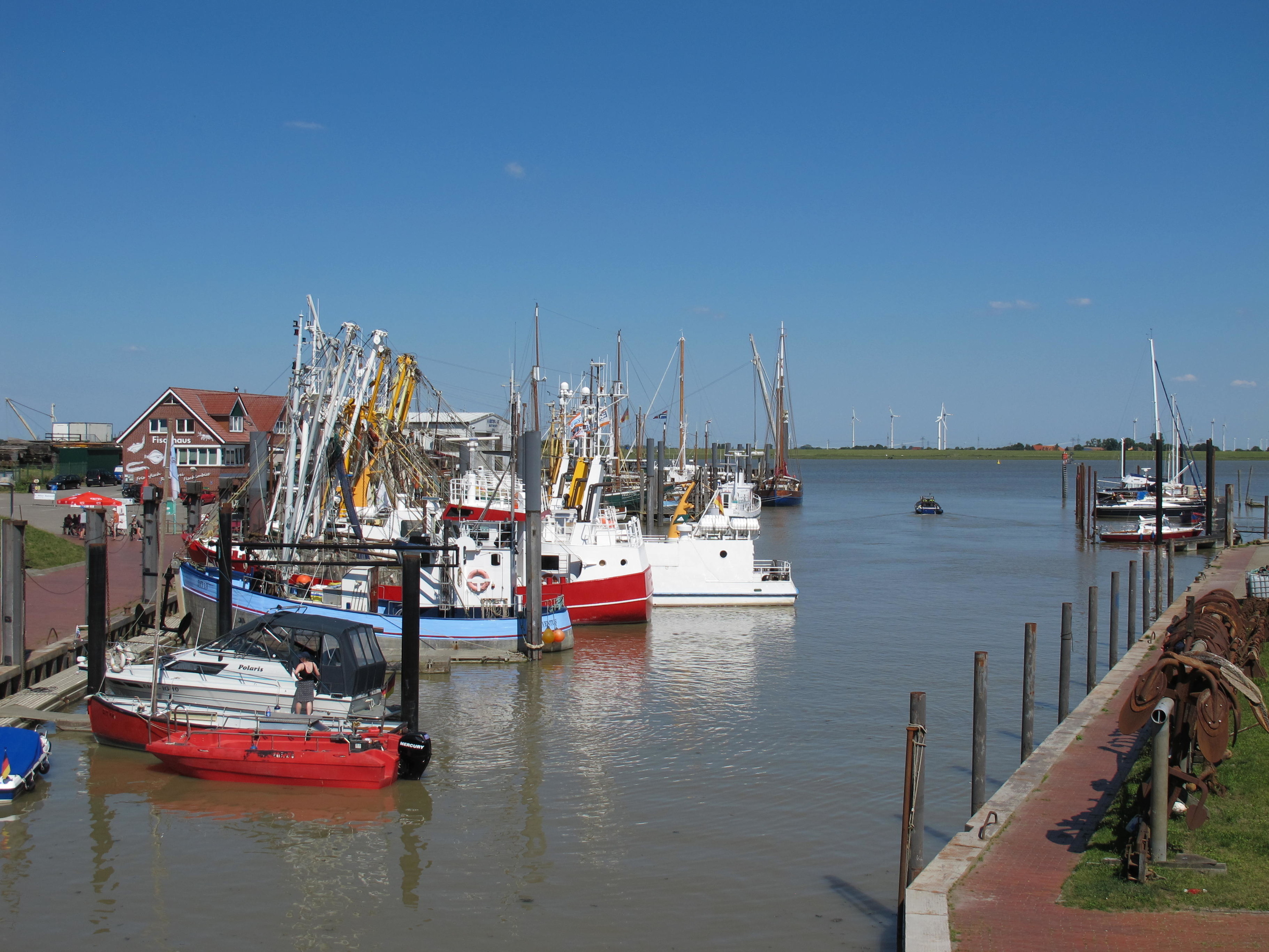 Ferienhaus STICKLIESEL (DITZ125) am DOLLART (Emsmündung) Nähe  Emden (Fähre) — Foto 23