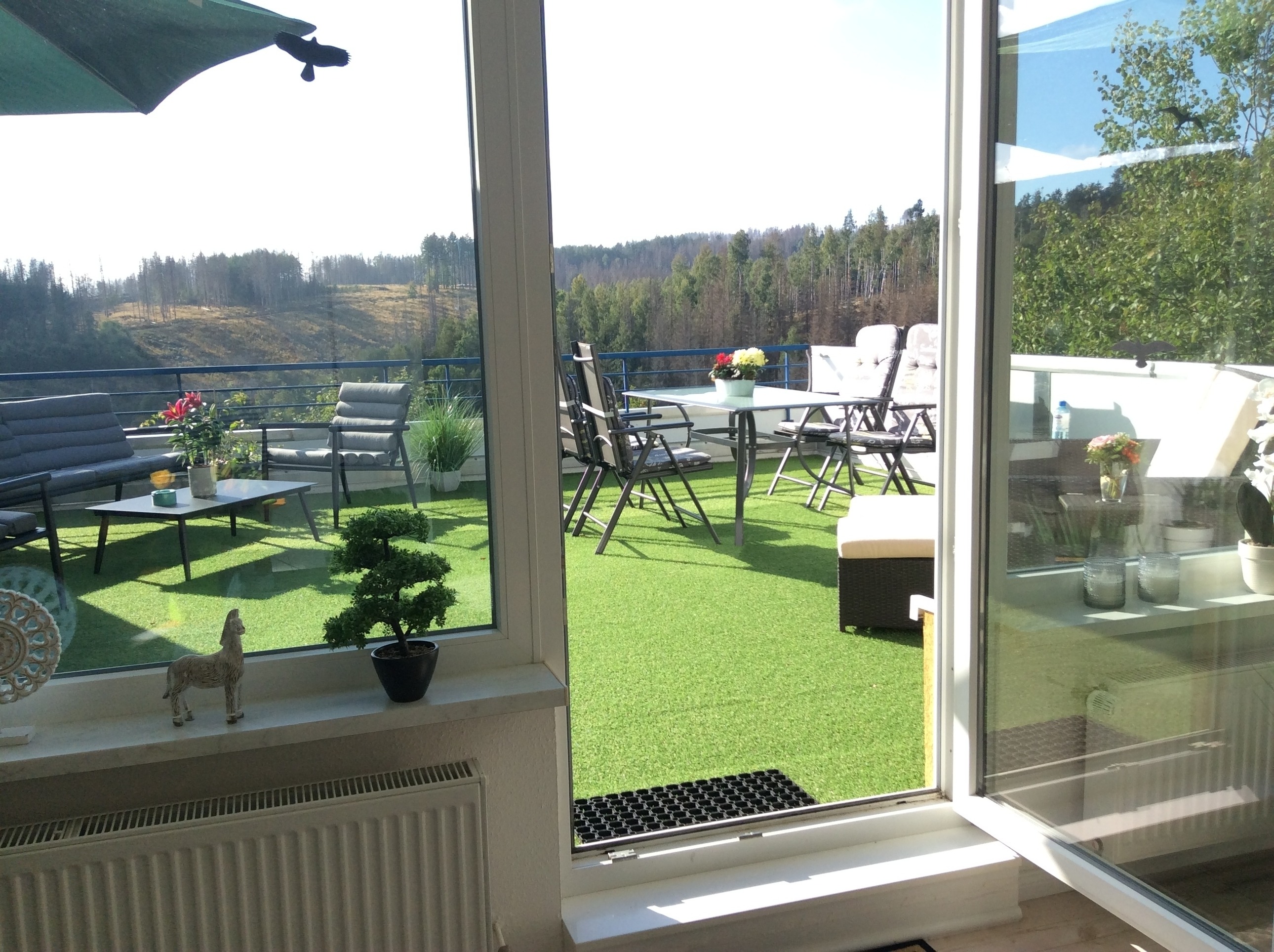 Terrassenhaus 649 Ferienwohnung  Braunlage