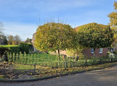 Foto 21 Ferienhaus Ostfriesland Norddeich & Umgebung Ferienhaus Fröhlich (Objekt 62305) buchen