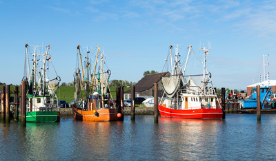Foto 23 Ferienwohnung Ostfriesland Butjadingen Sielhuus 4 - Butjadingen (Objekt 21399) Nordsee