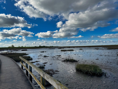 Foto 25 Ferienwohnung Ostfriesland Butjadingen Sielhuus 4 - Butjadingen (Objekt 21399) Reise