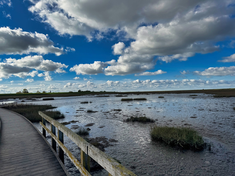 Foto 25 Ferienwohnung Ostfriesland Butjadingen Sielhuus 4 - Butjadingen (Objekt 21399) Reise