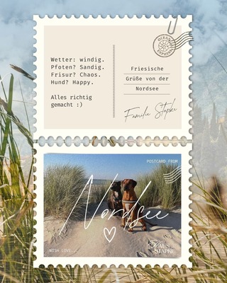 Foto 3 Ferienwohnung Ostfriesland Friesland KOJE 2 (Objekt 1882) Nordsee