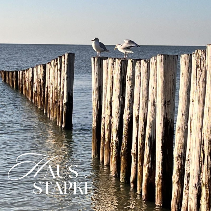 Foto 30 Ferienwohnung Ostfriesland Friesland KOJE 2 (Objekt 1882) Reise
