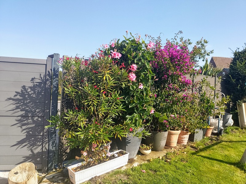 Foto 21 Ferienwohnung Ostfriesland Friesland KOJE 1 (Objekt 1881) buchen