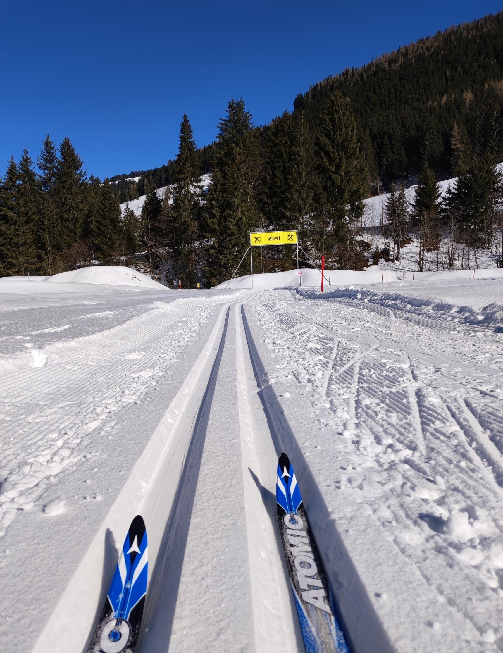 Ferienwohnung am Ponyhof (WILD328) — Foto 12