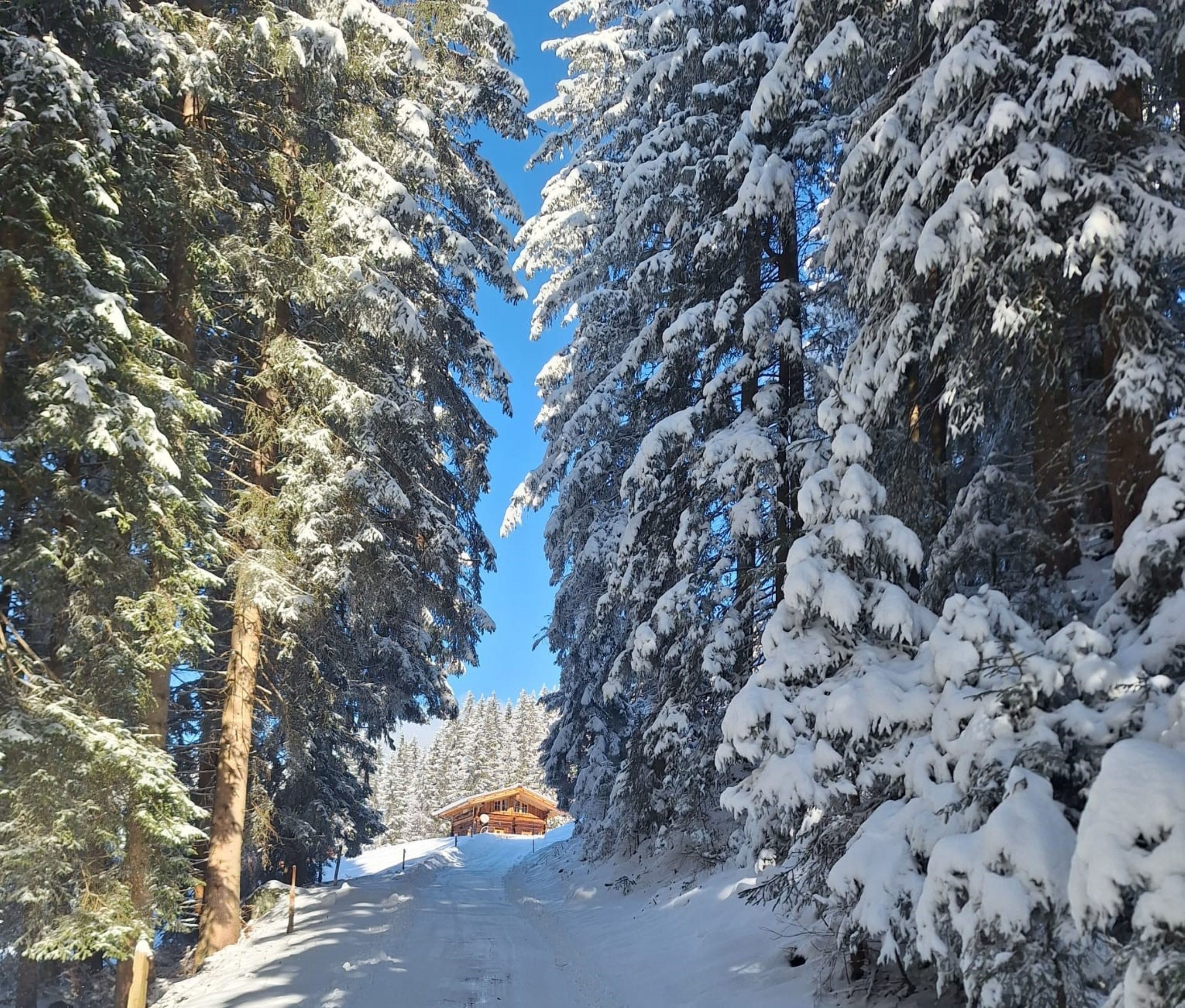 Chalet zum Feldalphorn (Prädasten WILD605) — Foto 23