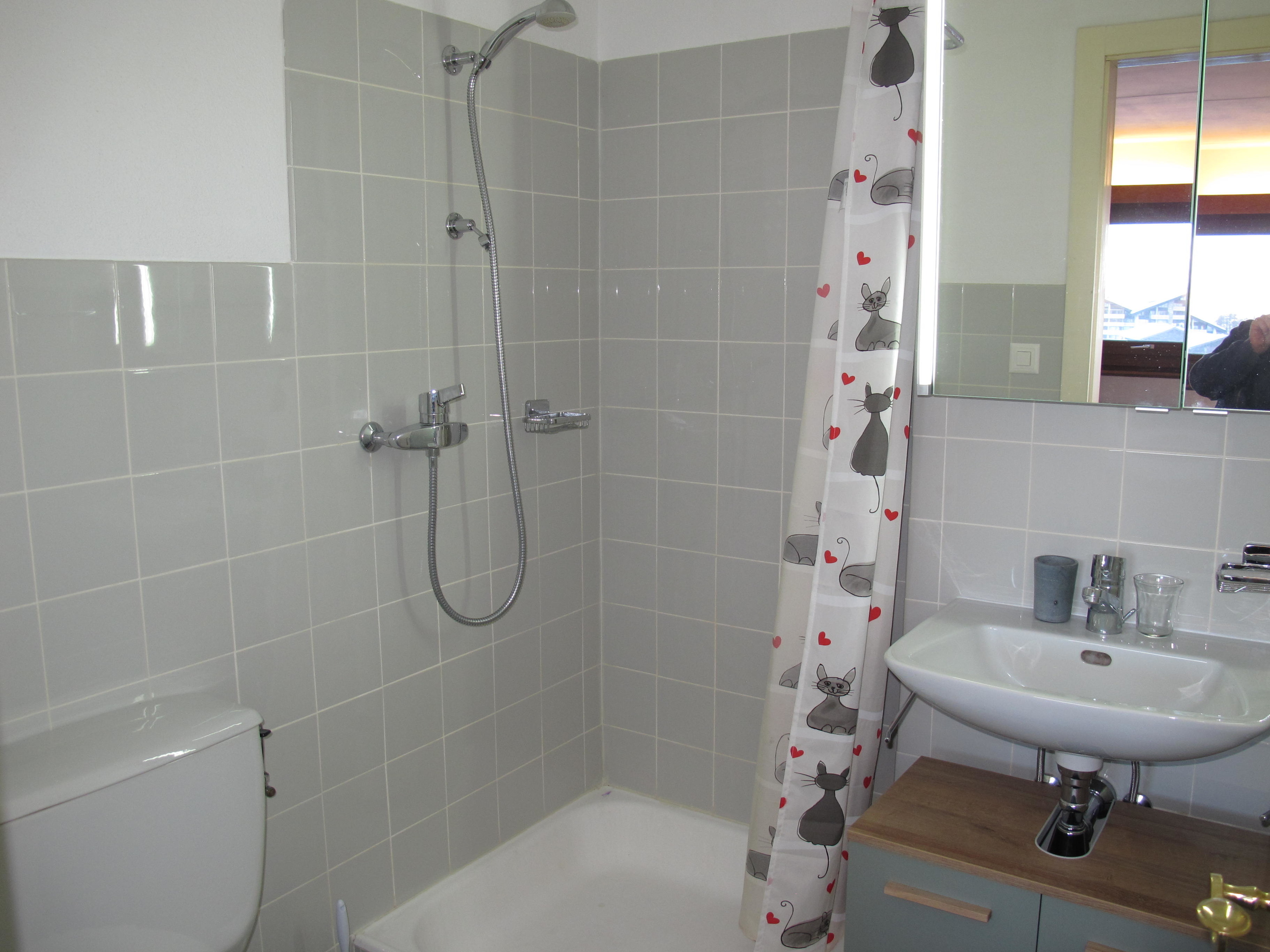 Residenz Rosablanche, Fewo GENTIANES by fewo-plan (SIVI155) — Foto 14