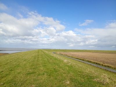 Foto 51 Ferienwohnung Ostfriesland Norddeich & Umgebung Ferienwohnung Nordlicht (Objekt 3755) buchen